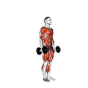 dumbbell burpee exercise demonstration