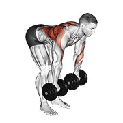 dumbbell palm rotational bent over row exercise demonstration