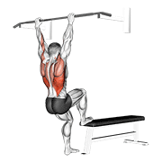 bench pull-ups exercise demonstration