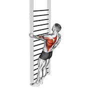 bodyweight standing close-grip one arm row exercise demonstration