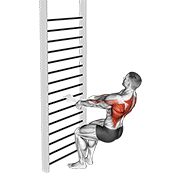 bodyweight squatting row (with towel) exercise demonstration