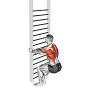 bodyweight squatting row exercise demonstration